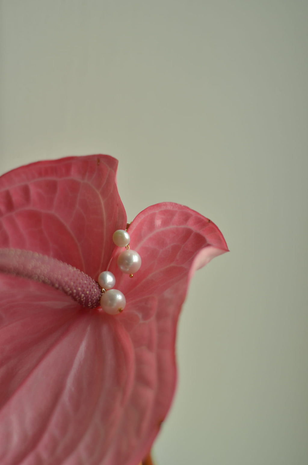 PEARL EARRINGS MADIE