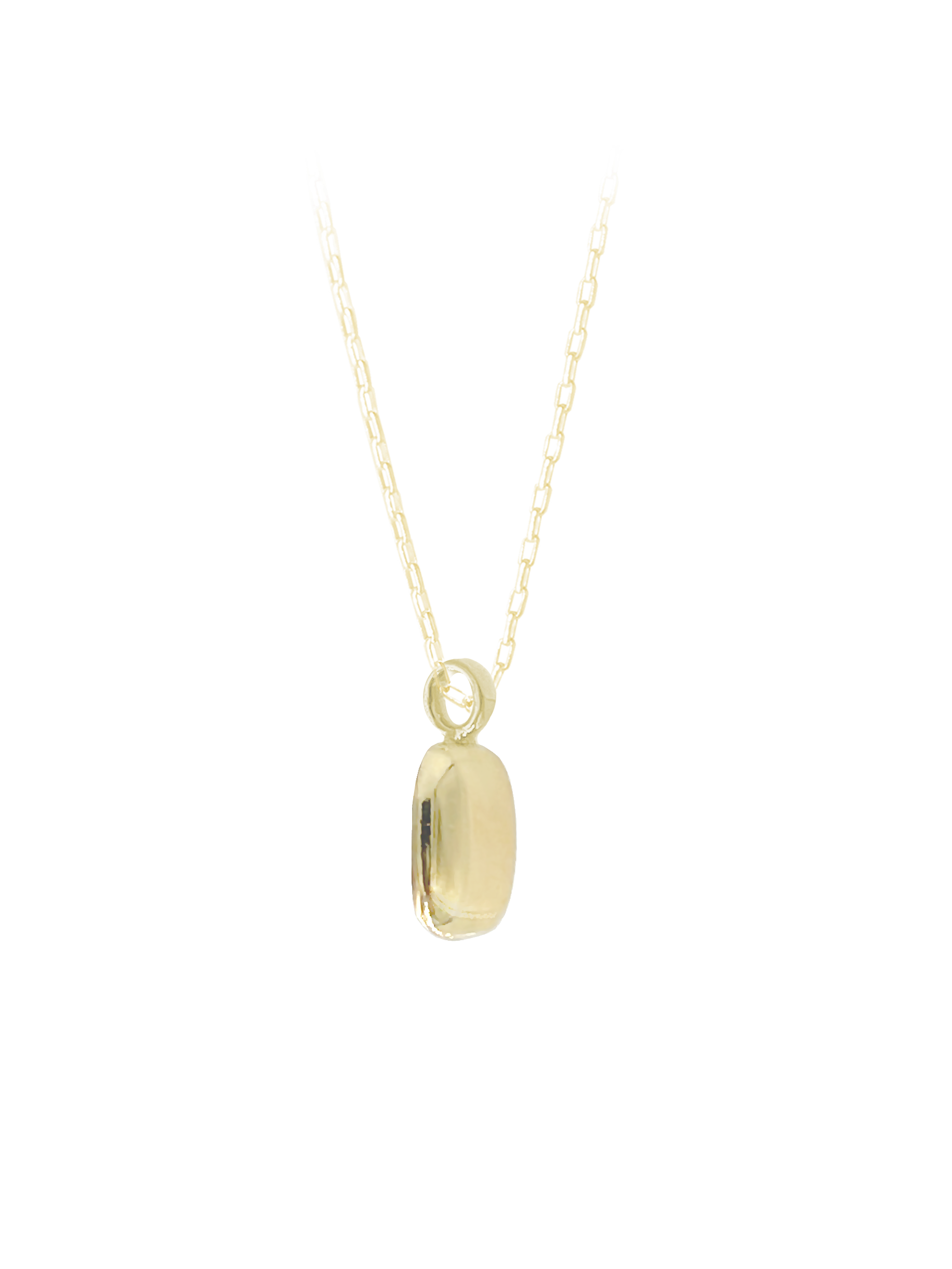 NASZYJNIK DEBRA SILVER / GOLD