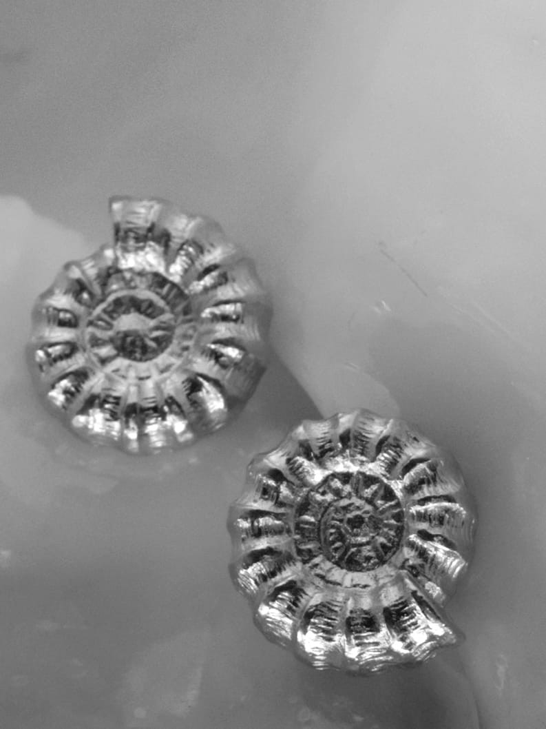 SNAIL SILVER EARRINGS